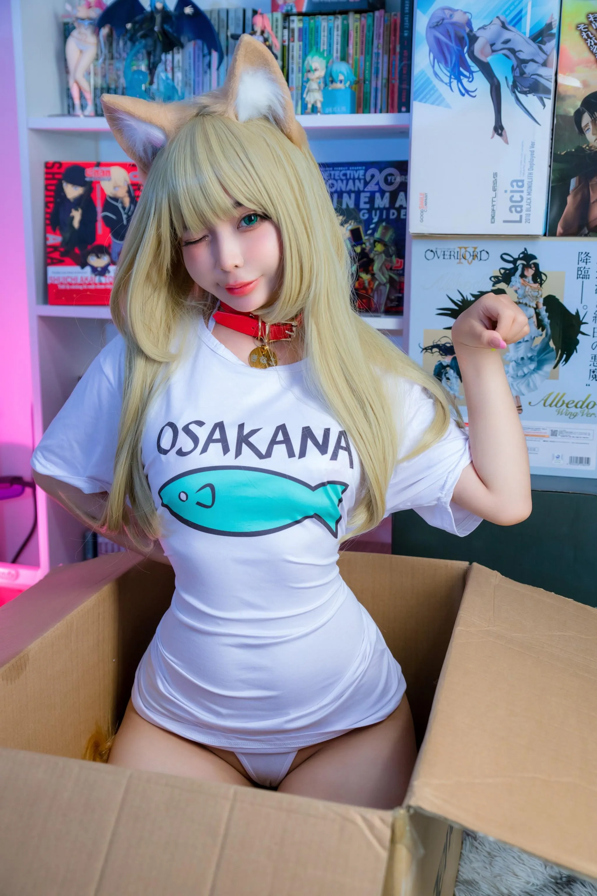 UmekoJ – NO.048 Kinako Neko [COMPLETE SET]-Kinako HD [71P]插图9